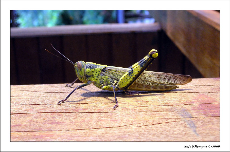 2005 - 08 - Perhentian  - 180.JPG